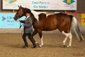 22-APHA HOTC_091